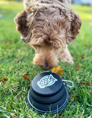 Collapsible Dog Bowl