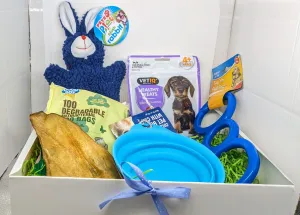 Dog puppy bundle gift box