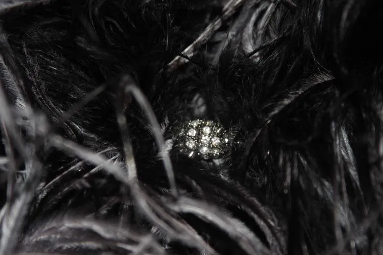 ELIZABETH MASON COUTURE Black Ostrich Wrap, Rhinestone Closure