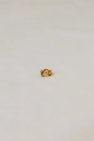 Gold plated Camera Brooch