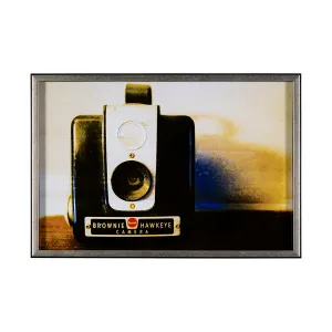 Hawkeye Vintage Camera Wall Art