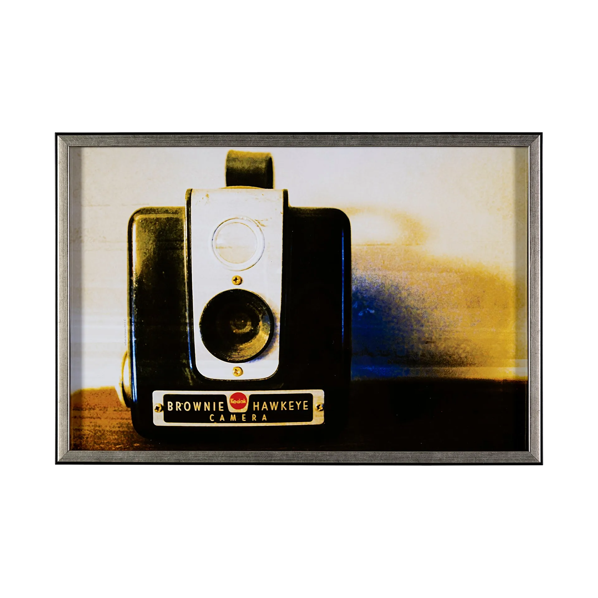 Hawkeye Vintage Camera Wall Art