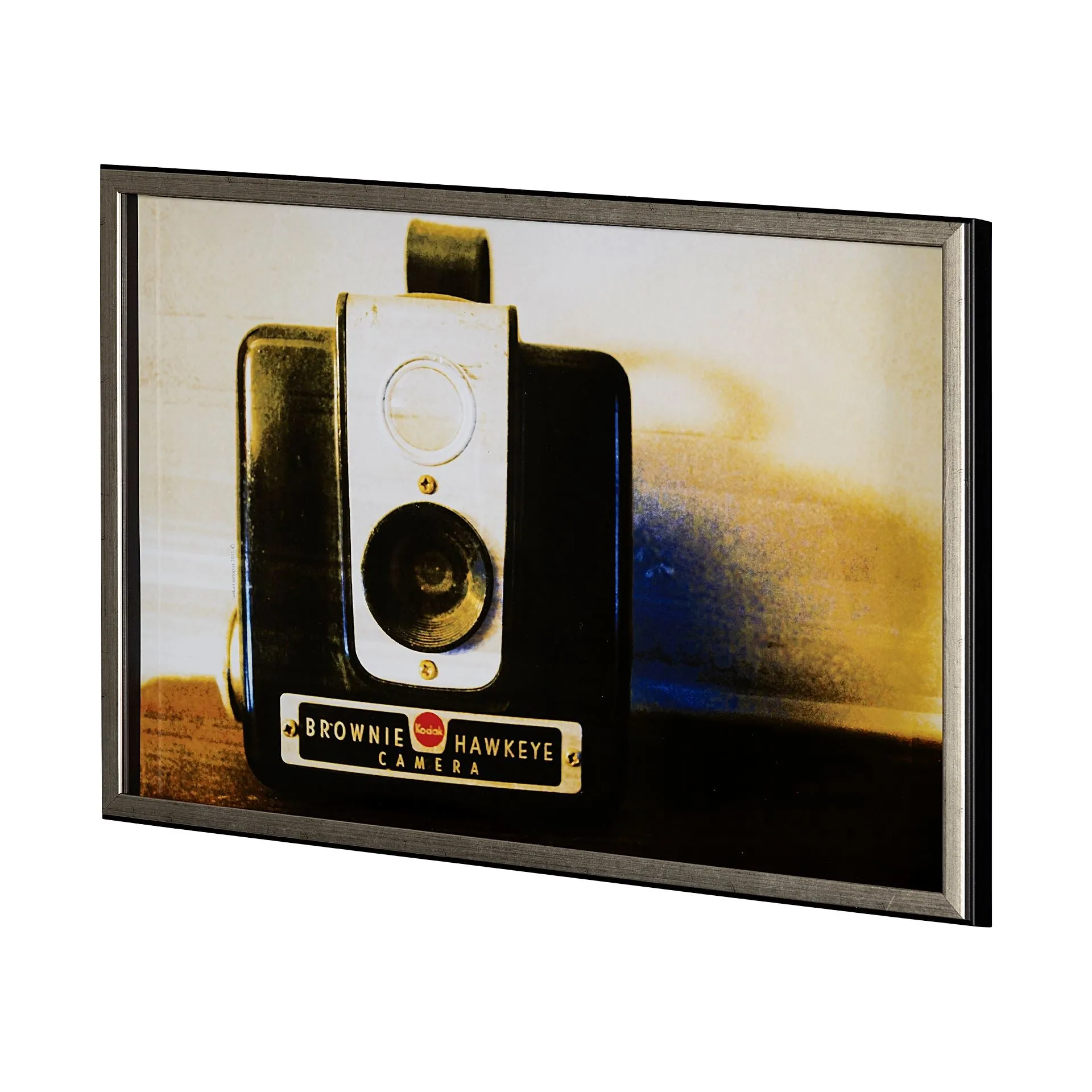 Hawkeye Vintage Camera Wall Art