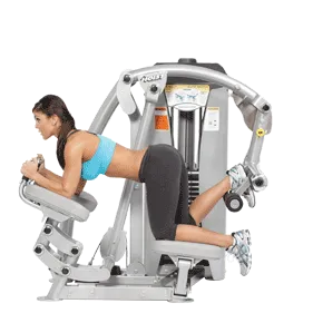 Hoist Inner Thigh RS-1406