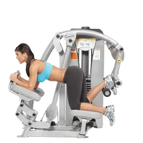 Hoist Inner Thigh RS-1406