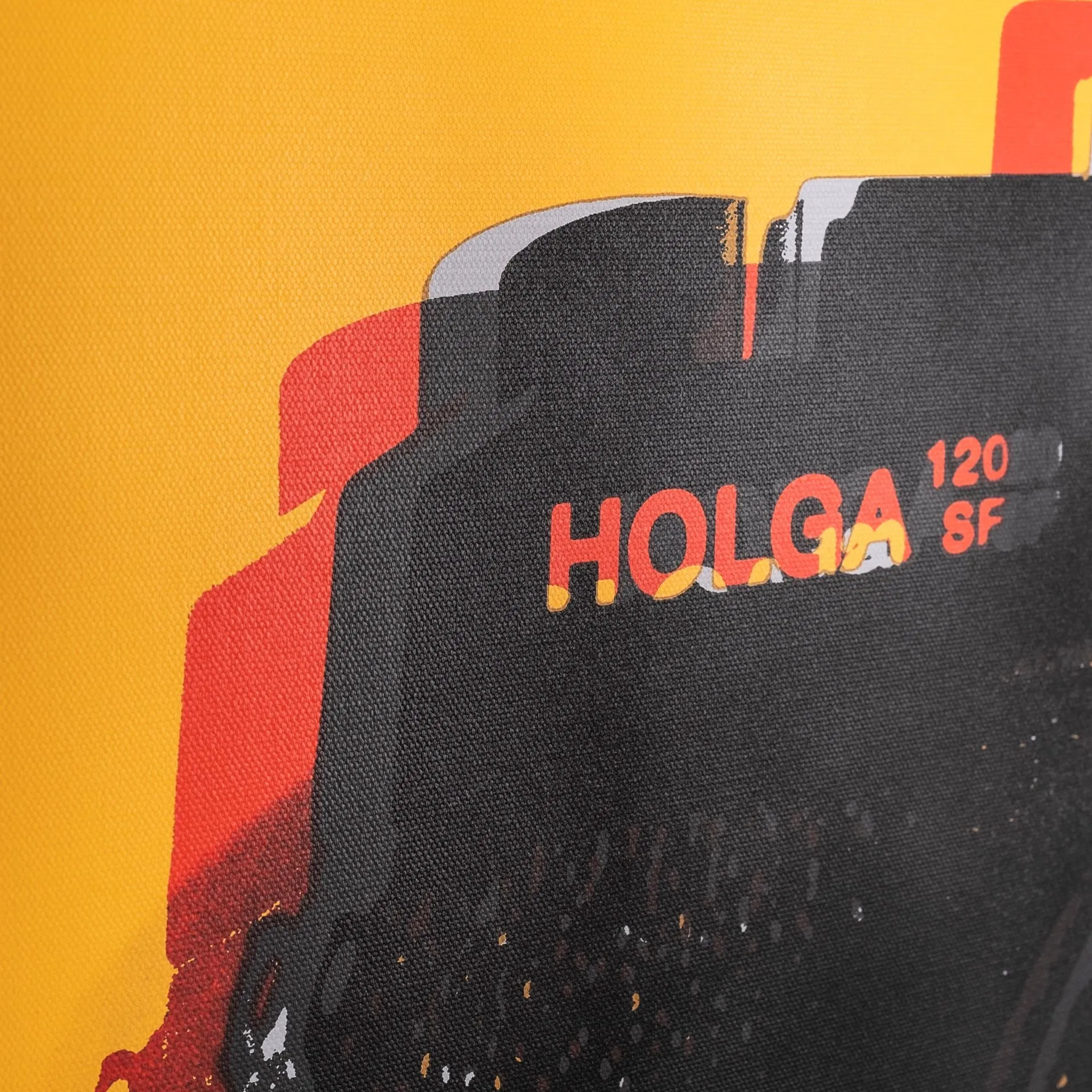 Holga Hue Vintage Camera Wall Art