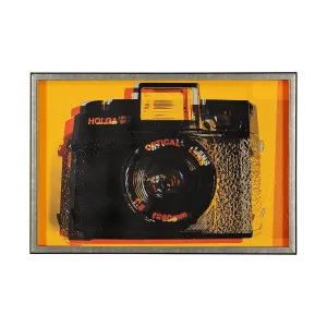 Holga Hue Vintage Camera Wall Art
