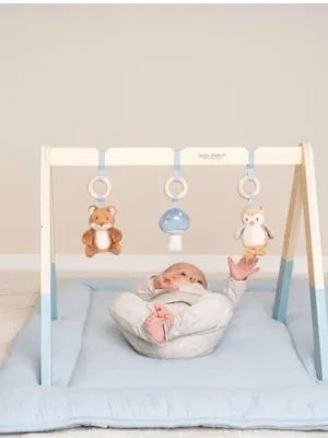 Little Dutch Baby Gym - Forest Friends
