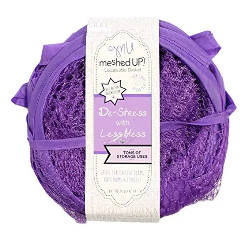 Meshed Up Collapsible Basket