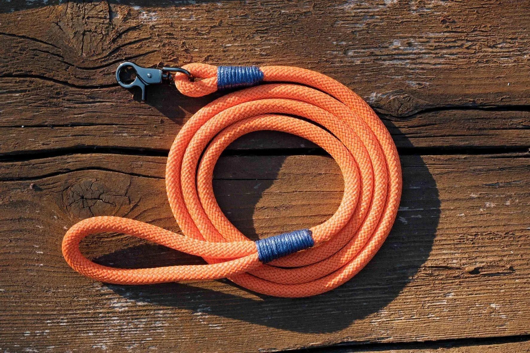 Orange Dog Leash