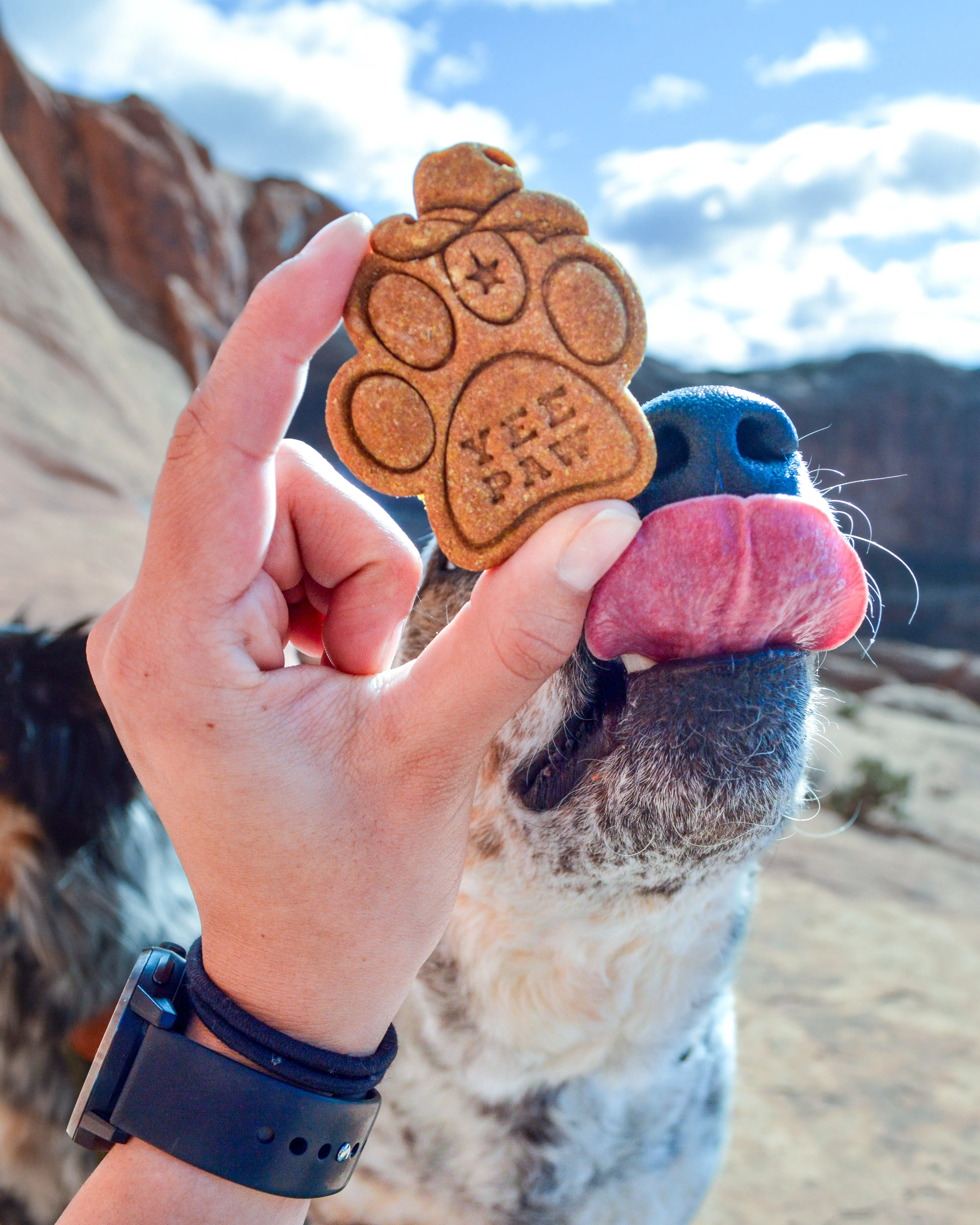 Paw Shaped "YEE PAW" Cookie Cutter