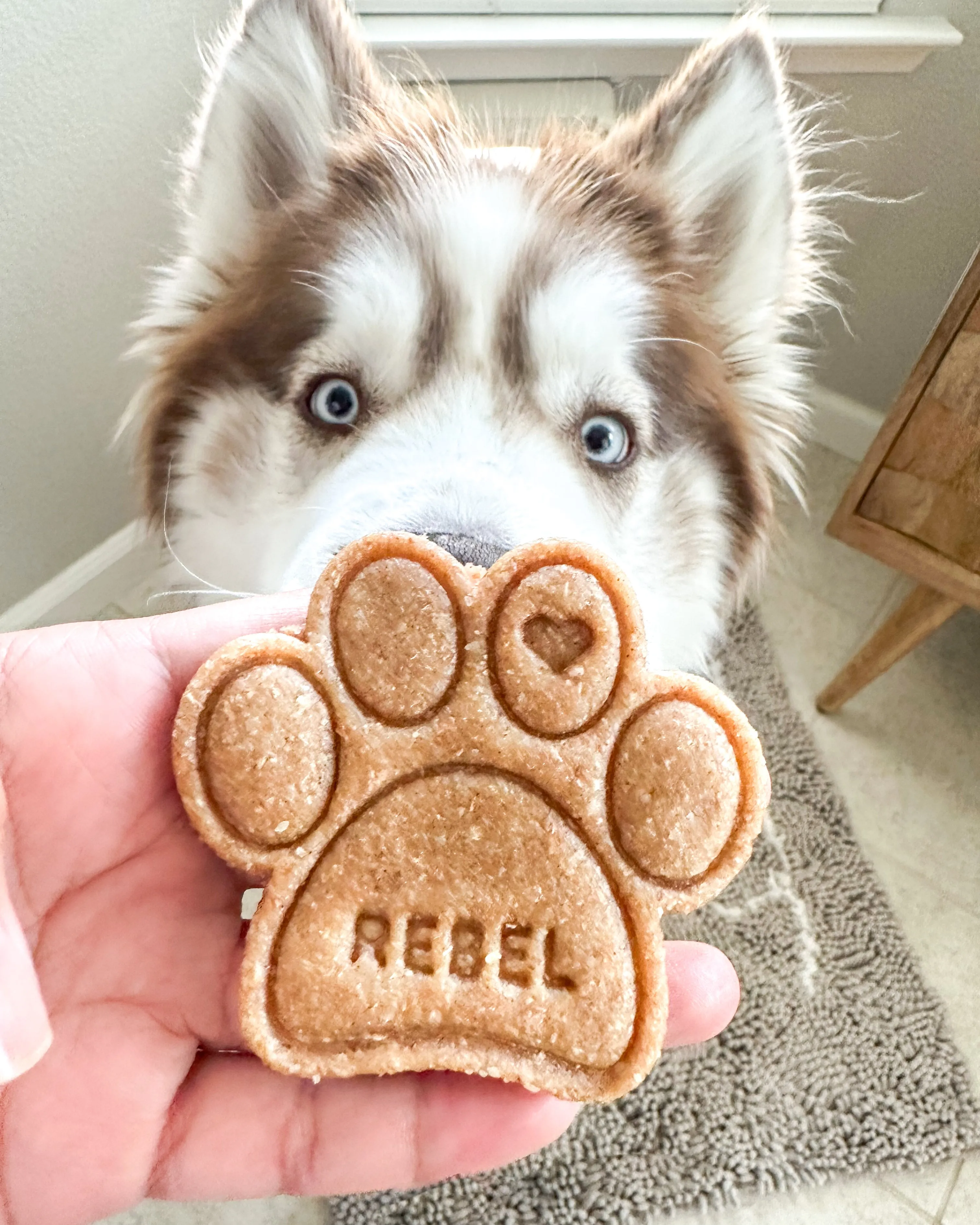 Personalized Paw Shaped Dog Cookie Cutter