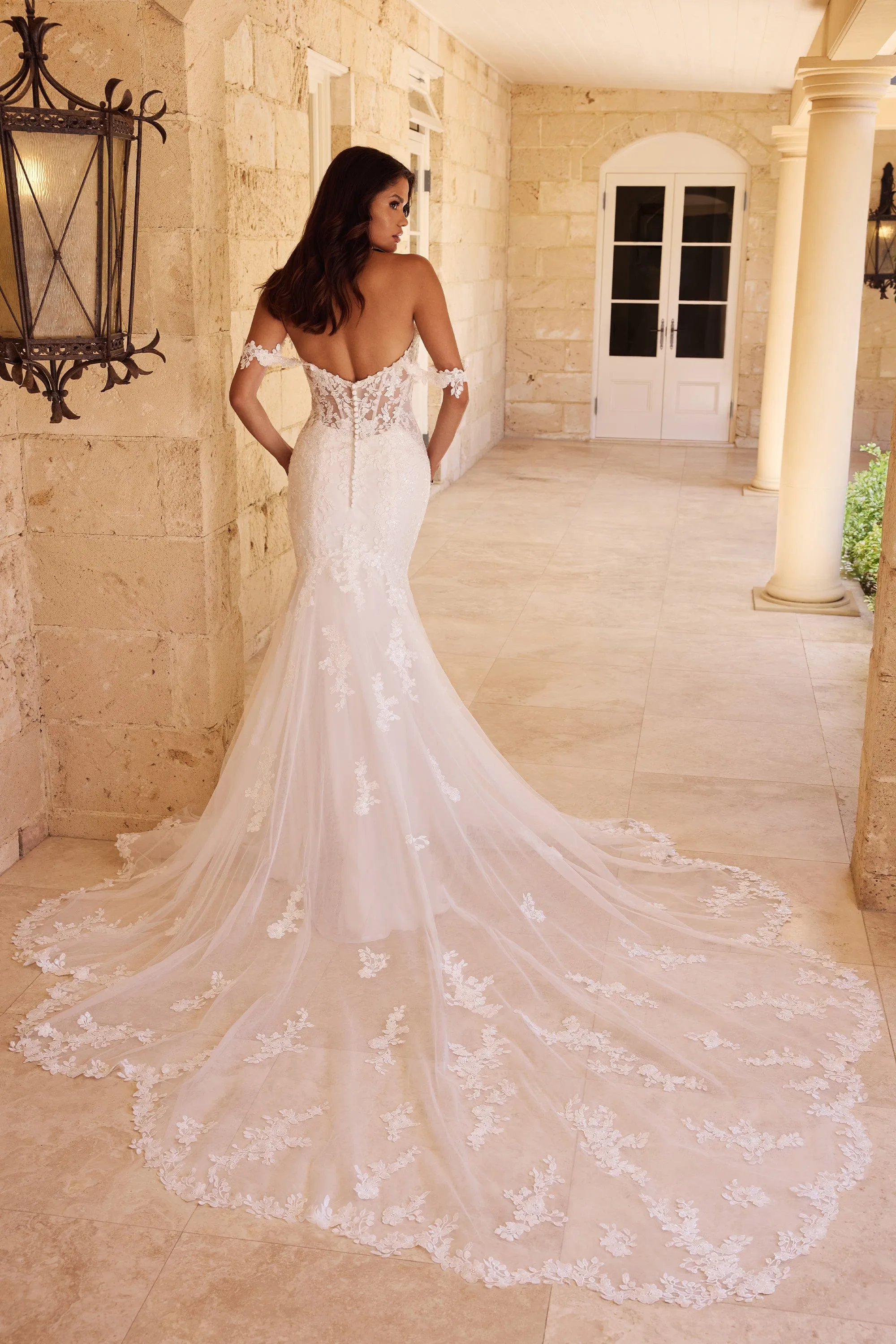 Sophia Tolli: Y3123 - Zahlie