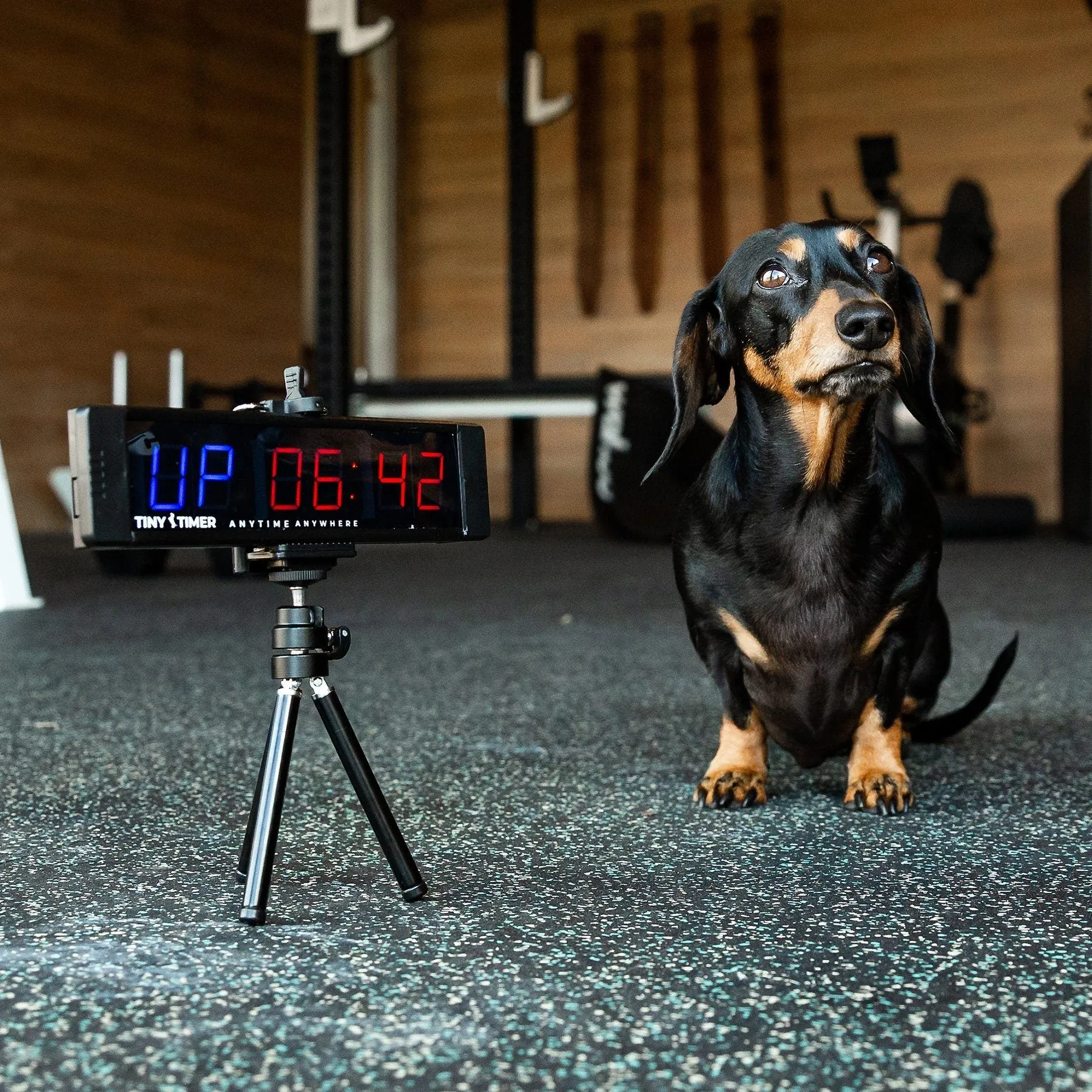 Tiny Timer by James Newbury