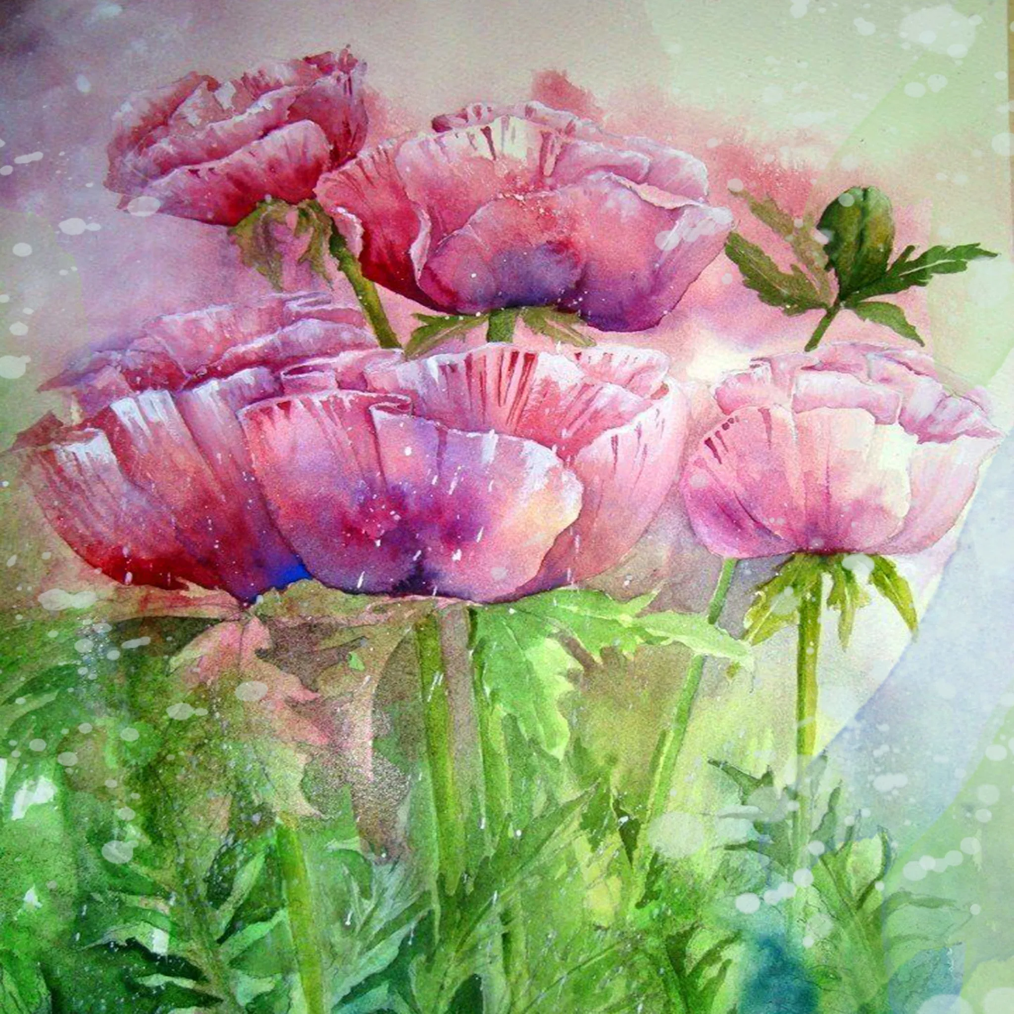 Watercolor Floral Printed Pattern Vinyl